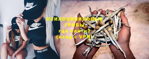 стафф Арсеньев