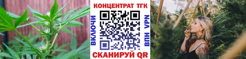 ТГК THC oil  Бакал 