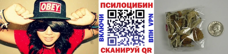 блэк спрут как войти  Бакал  Галлюциногенные грибы Psilocybe  как найти  